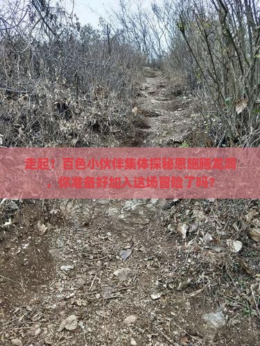 百色到恩施腾龙洞团体旅游