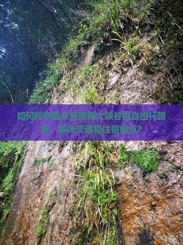 包头去恩施大峡谷自由行