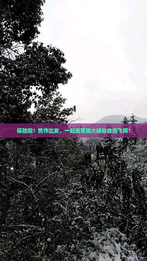 焦作到恩施大峡谷自由团