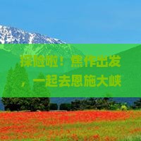 焦作到恩施大峡谷自由团