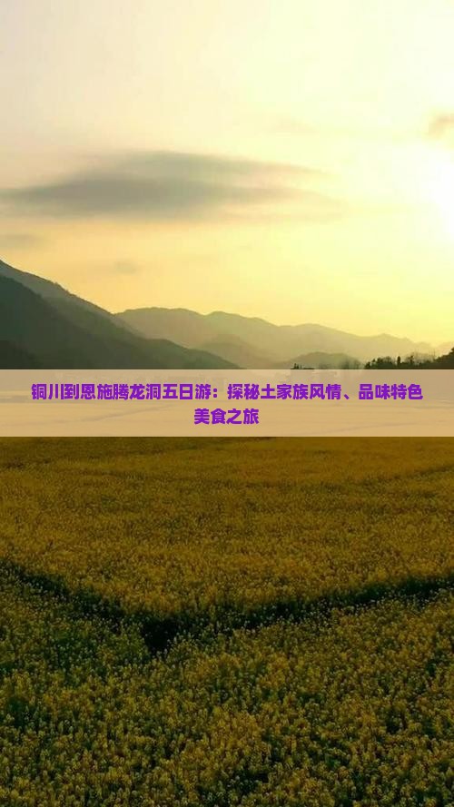铜川到恩施腾龙洞五日游