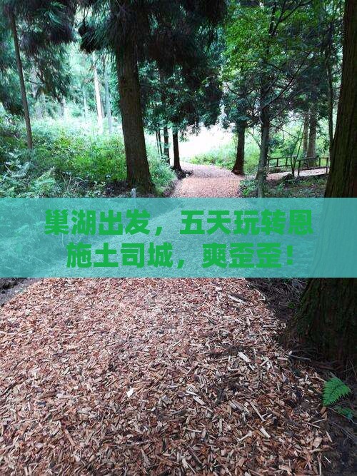 巢湖到恩施土司城五日游