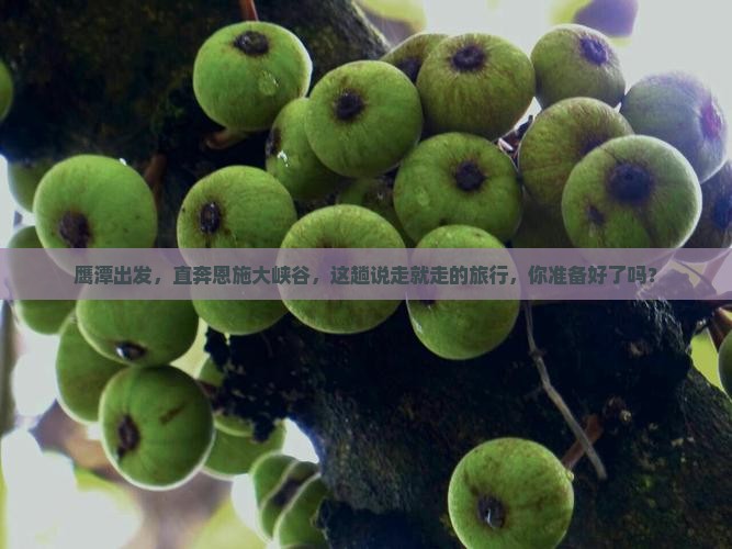 鹰潭去恩施大峡谷自由行