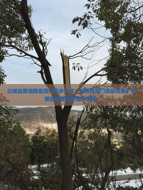 白城去恩施腾龙洞门票
