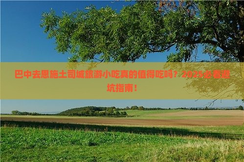 巴中去恩施土司城旅游小吃