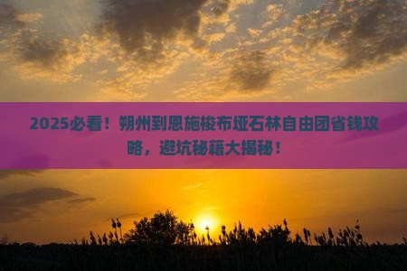 朔州到恩施梭布垭石林自由团