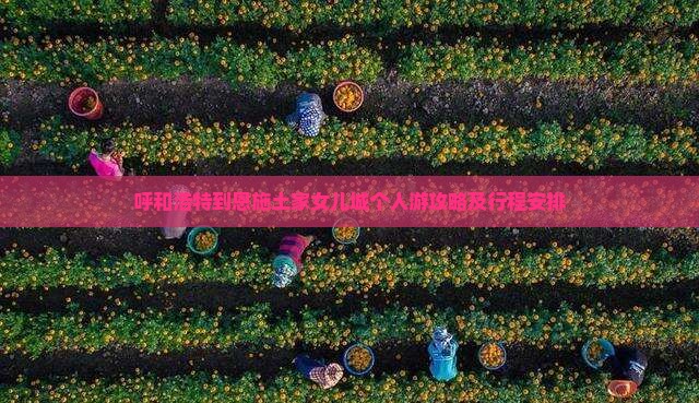 呼和浩特到恩施土家女儿城个人游