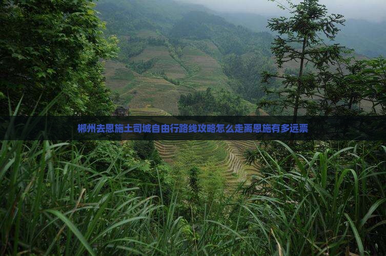 郴州去恩施土司城自由行
