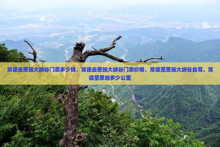 常德去恩施大峡谷门票