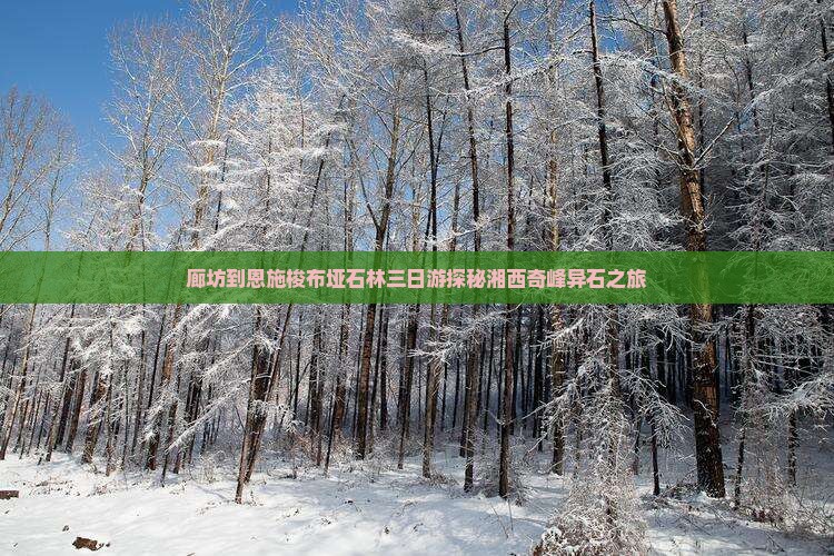 廊坊到恩施梭布垭石林三日游