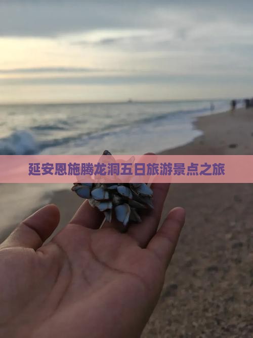 延安到恩施腾龙洞五日游