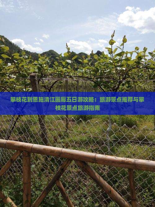 攀枝花到恩施清江画廊五日游