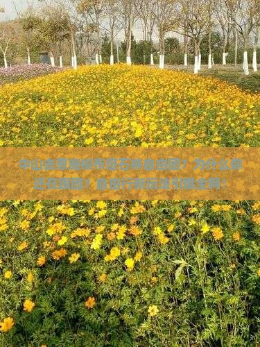 中山去恩施梭布垭石林自由团