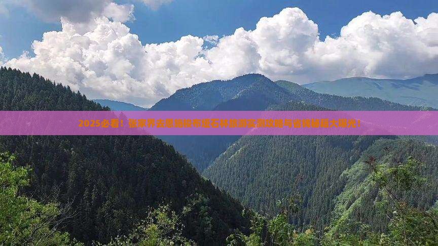 张家界去恩施梭布垭石林旅游