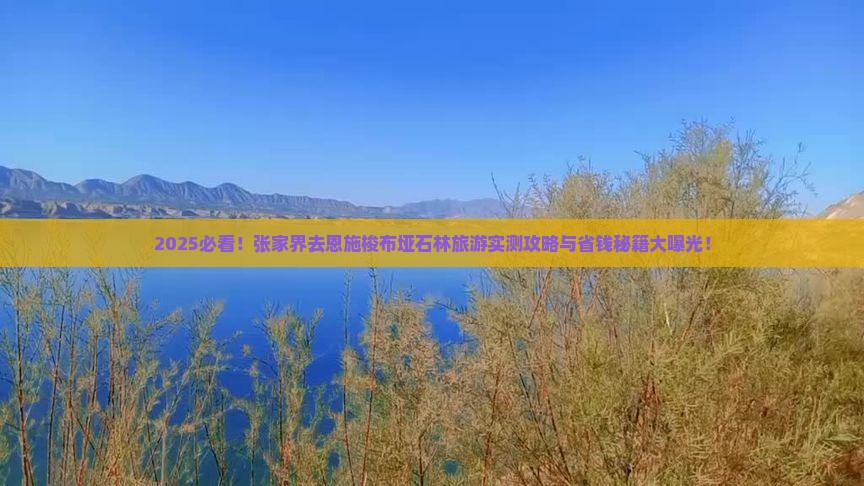张家界去恩施梭布垭石林旅游