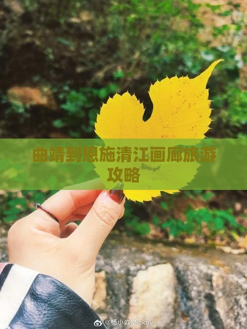 曲靖到恩施清江画廊哪里玩