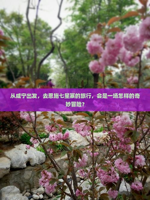 咸宁去恩施七星寨旅行社