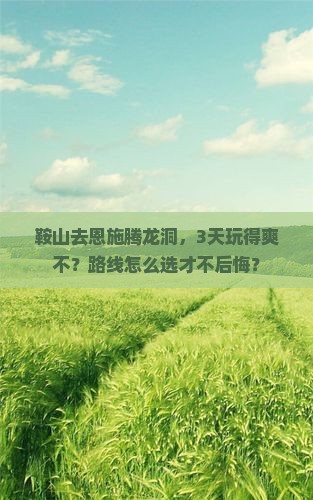 鞍山到恩施腾龙洞旅行社