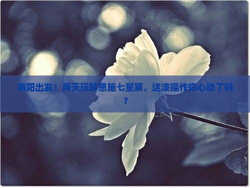 南阳到恩施七星寨二日游