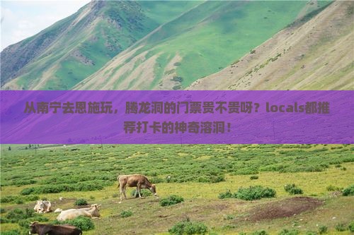 南宁到恩施腾龙洞门票