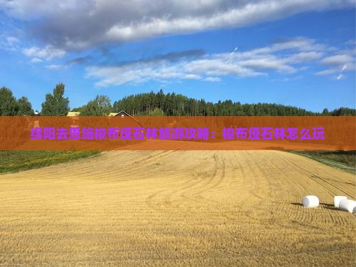 绵阳去恩施梭布垭石林哪里玩