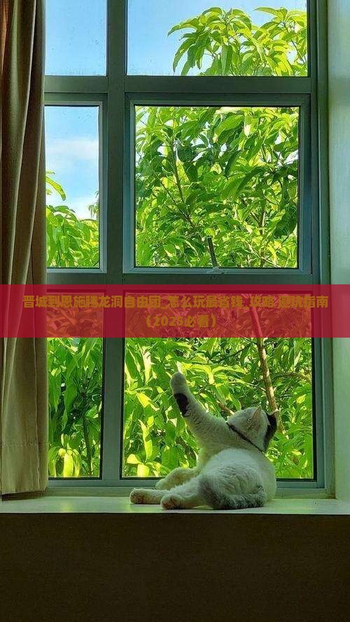 晋城到恩施腾龙洞自由团