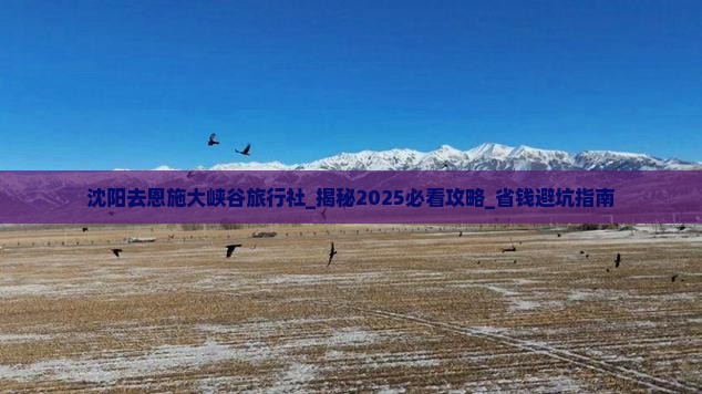 沈阳去恩施大峡谷旅行社
