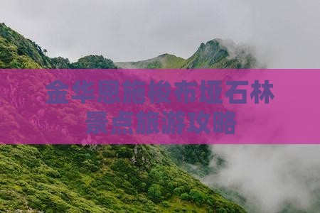 金华去恩施梭布垭石林景点
