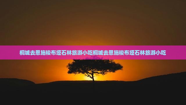 桐城去恩施梭布垭石林旅游小吃
