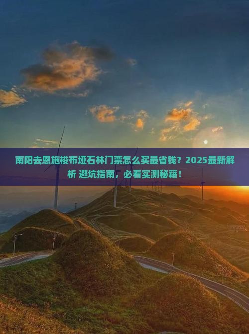 南阳去恩施梭布垭石林门票