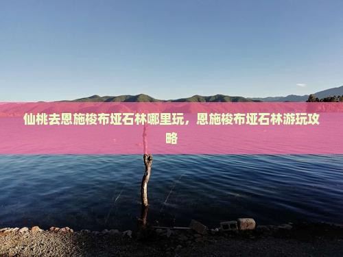 仙桃去恩施梭布垭石林哪里玩