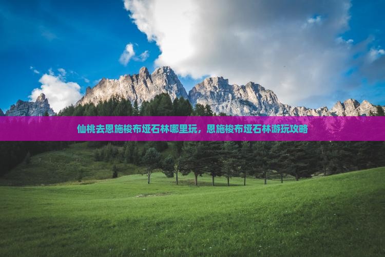 仙桃去恩施梭布垭石林哪里玩