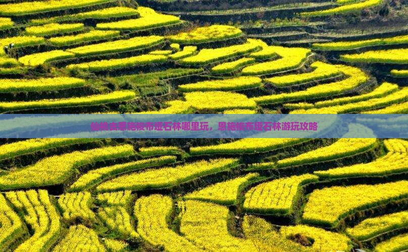 仙桃去恩施梭布垭石林哪里玩