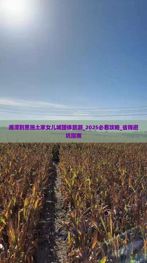 湘潭到恩施土家女儿城团体旅游