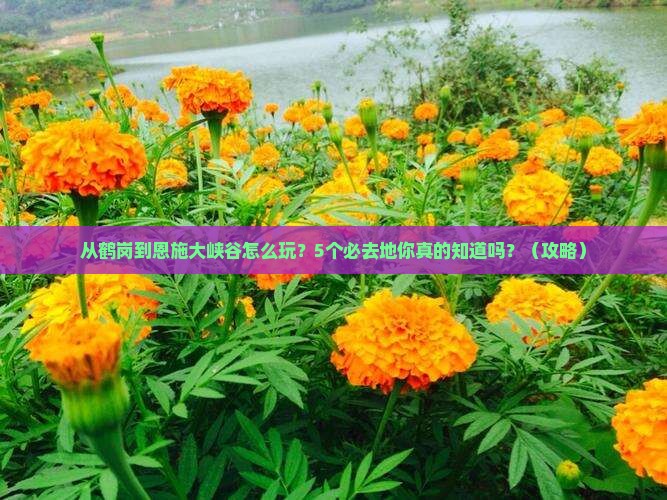 鹤岗去恩施大峡谷必去地