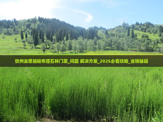 钦州去恩施梭布垭石林门票