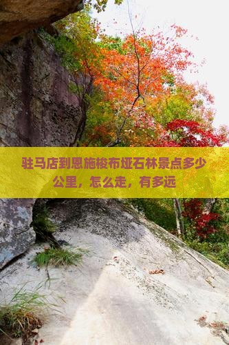 驻马店到恩施梭布垭石林景点