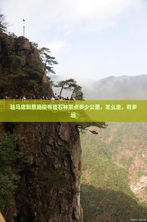 驻马店到恩施梭布垭石林景点