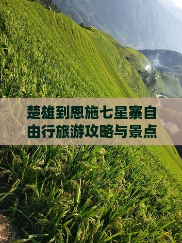 楚雄到恩施七星寨自由行
