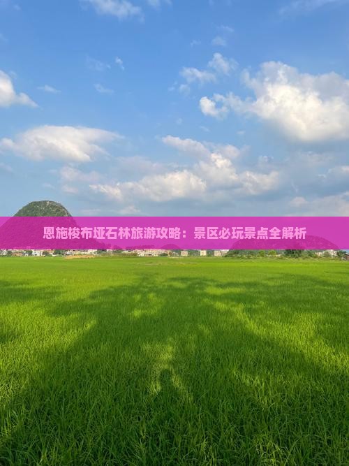 荆门去恩施梭布垭石林哪里玩