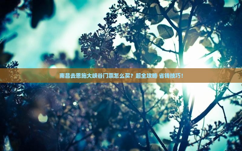 南昌去恩施大峡谷门票
