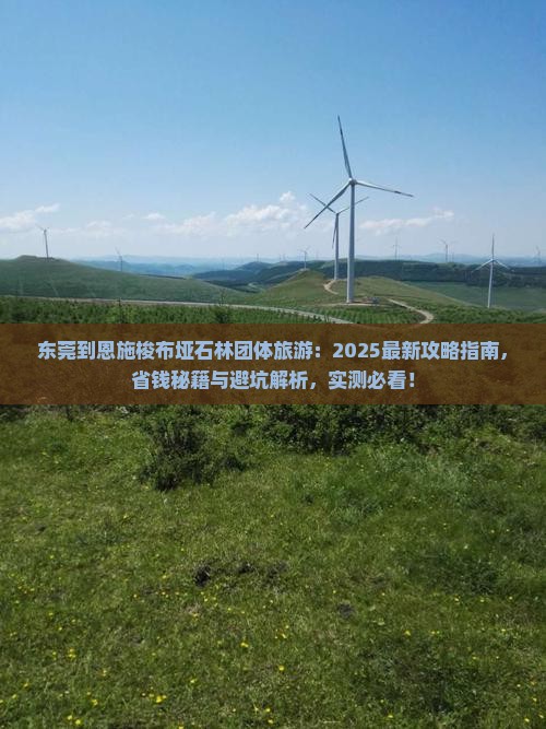 东莞到恩施梭布垭石林团体旅游