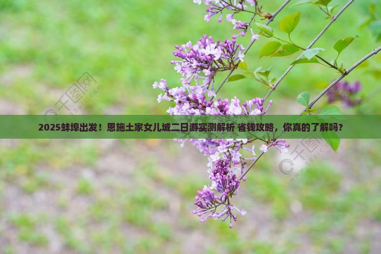 蚌埠到恩施土家女儿城二日游