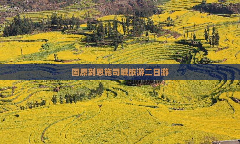 固原到恩施土司城二日游