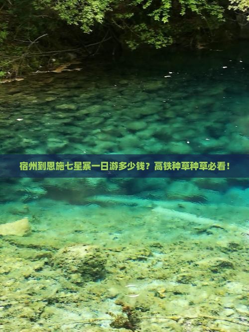 宿州去恩施七星寨一日