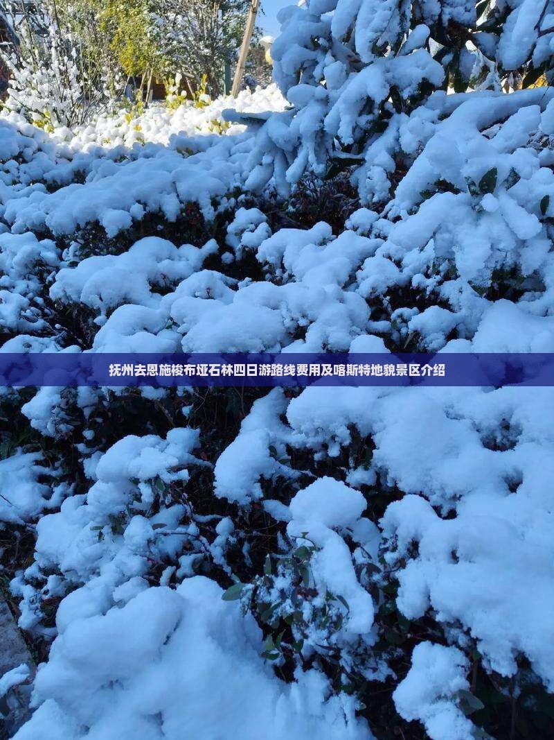 抚州去恩施梭布垭石林四日游