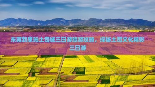东莞到恩施土司城三日游