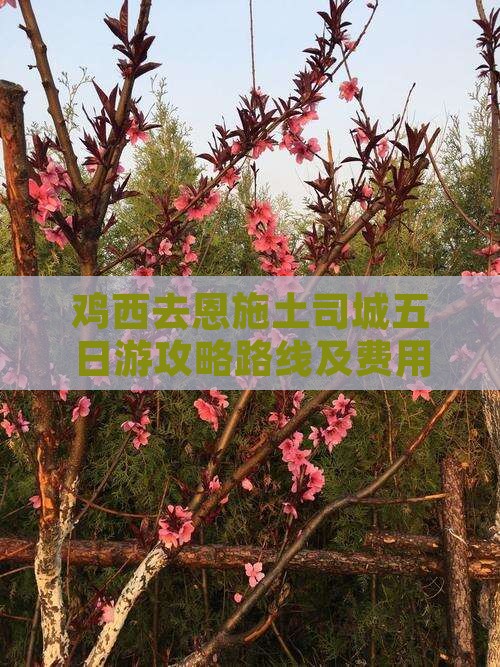 鸡西去恩施土司城五日游