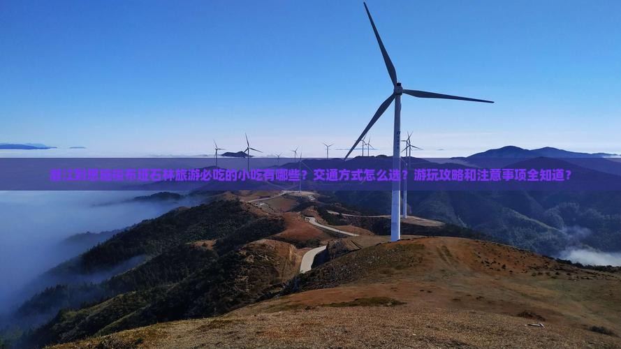 潜江到恩施梭布垭石林旅游小吃