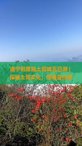 遂宁到恩施土司城五日游
